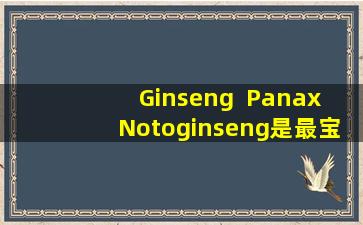 Ginseng  Panax  Notoginseng是最宝贵的中药。您知道Panax  Notoginseng粉的影响吗？
